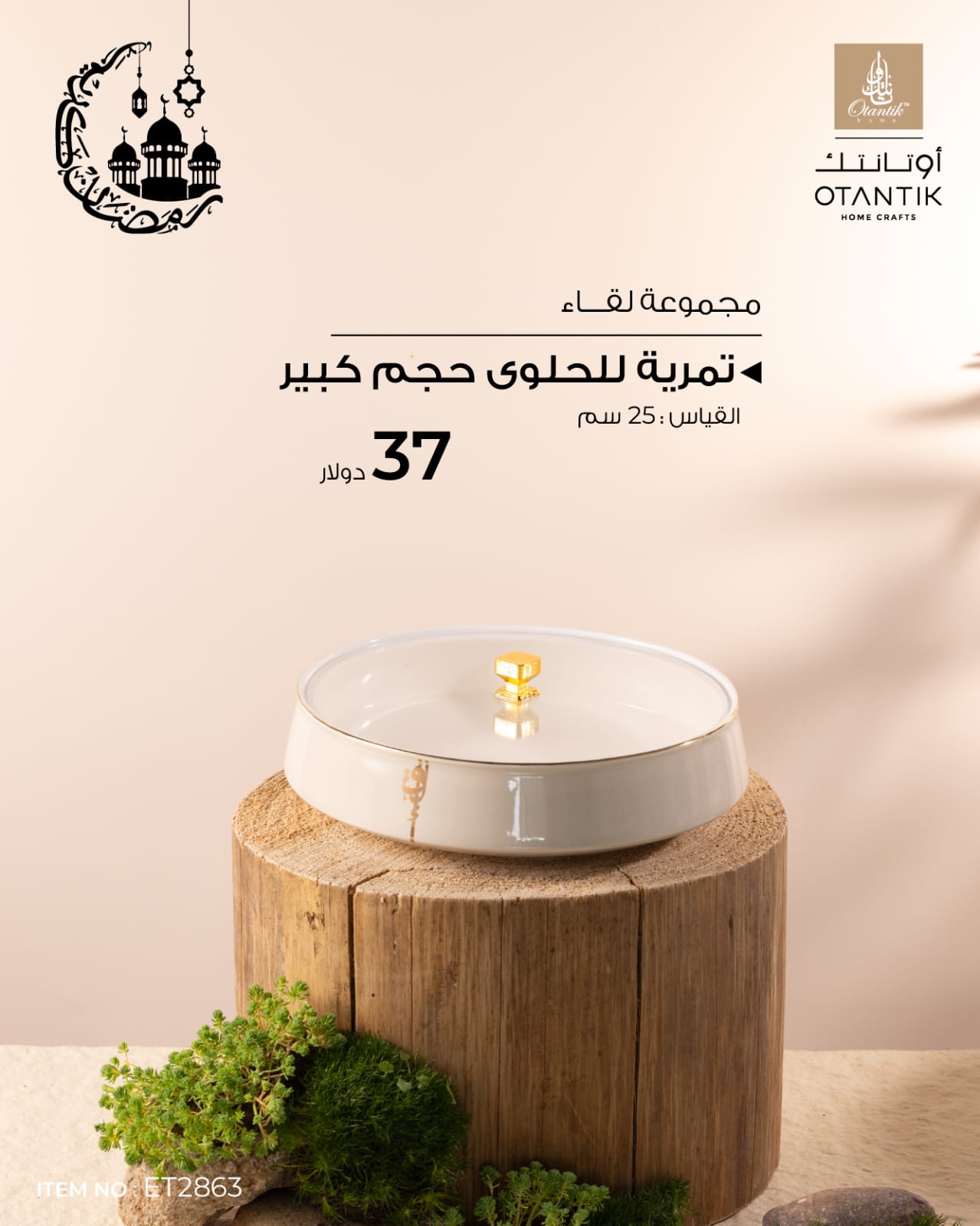 تمرية للحلوى حجم كبير